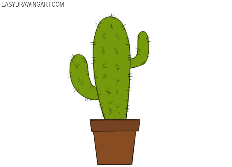 How to Draw a Cactus | Easy Drawing Art