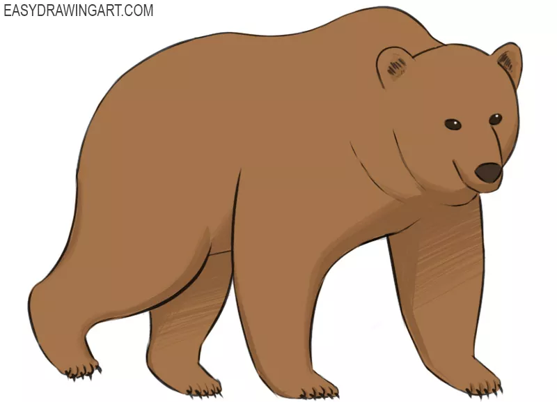 Easy How to Draw a Bear with a Scarf Tutorial and Coloring Page