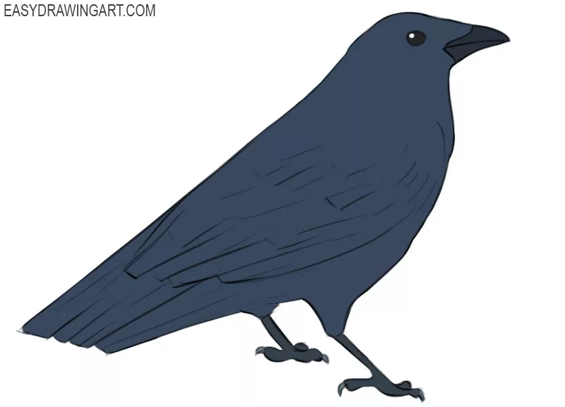 How To Draw A Crow Easy Drawing Art