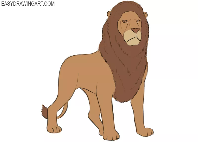 Easy Drawing Guides On Twitter Learn How To Draw A  Lion Head Easy Drawing  HD Png Download  Transparent Png Image  PNGitem