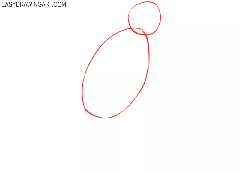 How to Draw a Parrot