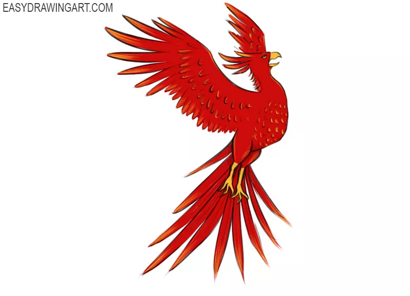 easy phoenix drawing