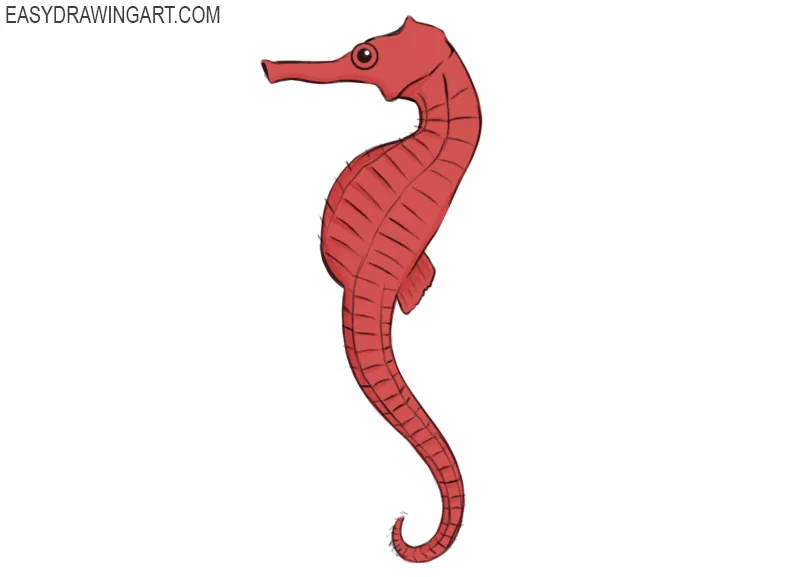 Illustration of the contour cartoon seahorse fish Stock Vector Image & Art  - Alamy