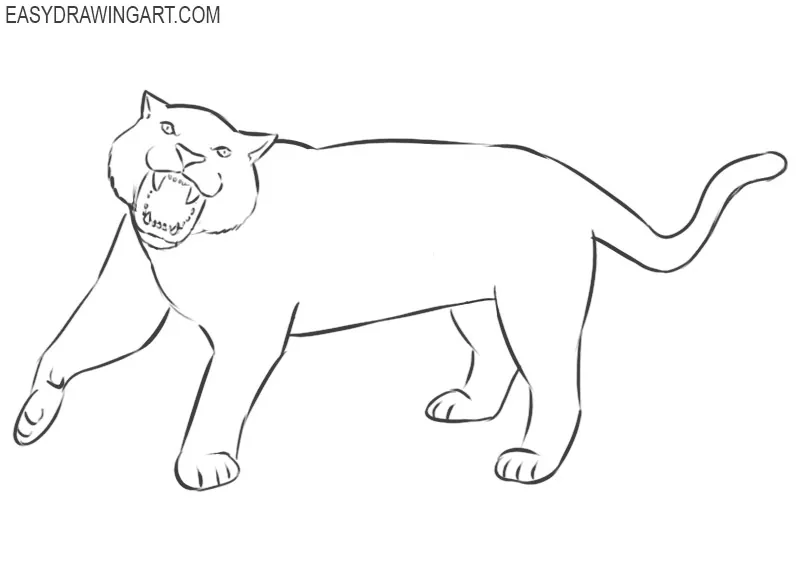 How to Draw a Tiger Roaring step by step