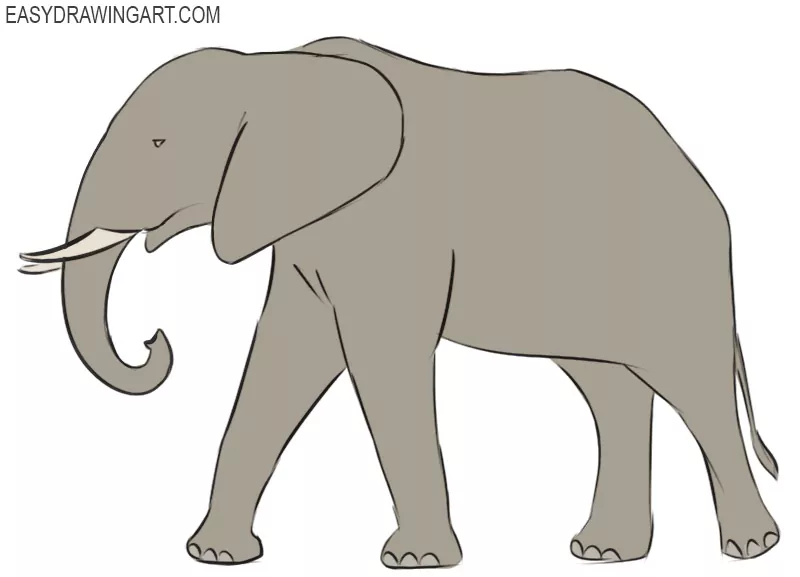 Elephant drawing Black and White Stock Photos & Images - Alamy-saigonsouth.com.vn