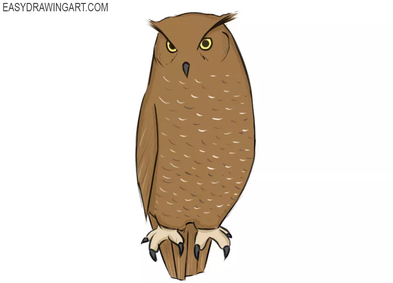 Small Owl Realistic Drawing-Original Pencil Art-Artwork-Realistic Sketch-Wildlife-Hyper  Realistic Owl Drawing | lupon.gov.ph