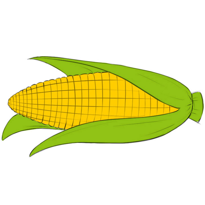 Easy Corn Drawings