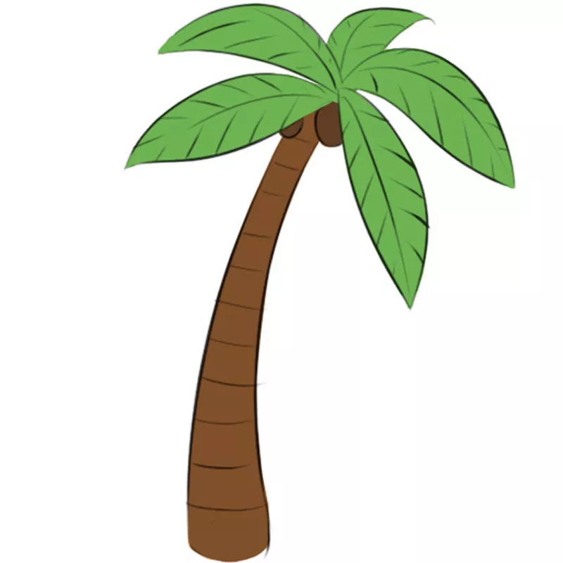 How to draw a palm tree: Step By Step, Simply and Easily