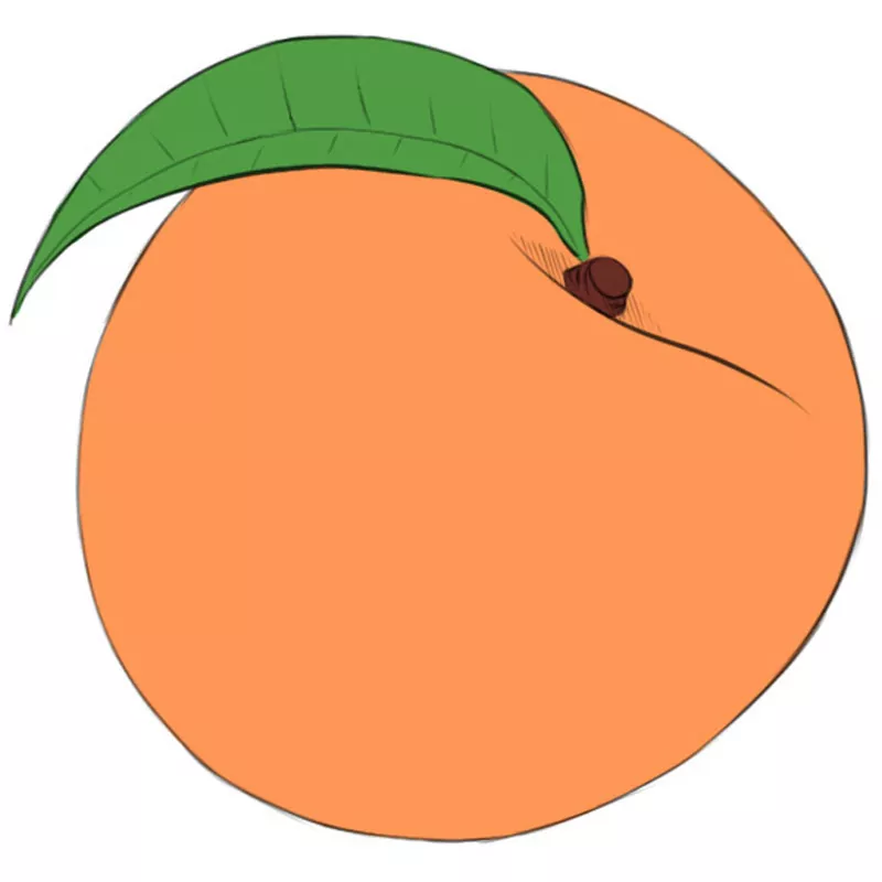How to Draw a Peach Easy Drawing Art