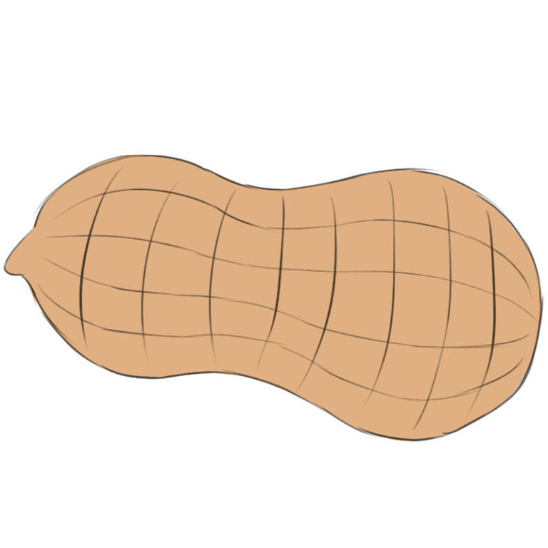 How to Draw a Peanut