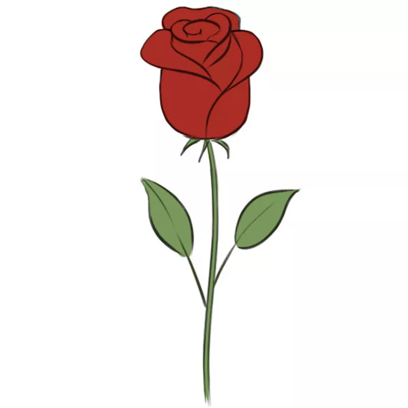 How to Draw a Rose. The Ultimate Guide and 27 Beautiful Rose Drawing Ideas  - Full Bloom Club