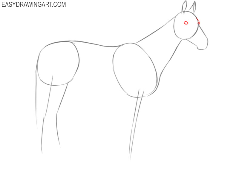 a easy way to draw a horse