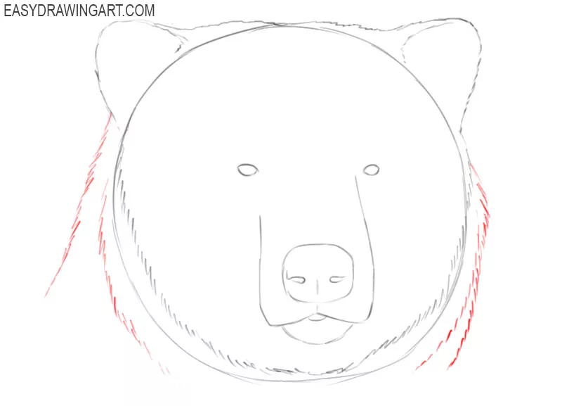 bear head drawing easy