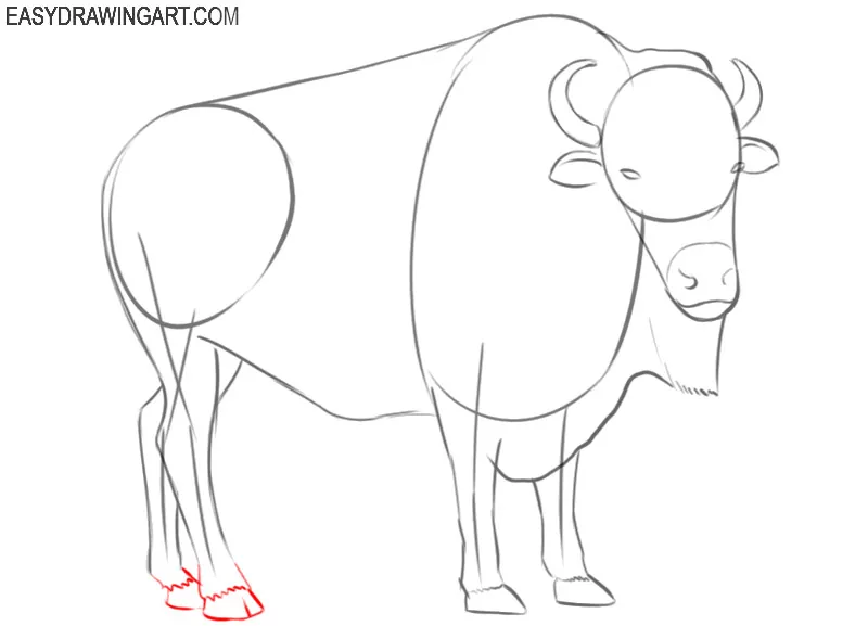 bison drawing tutorial