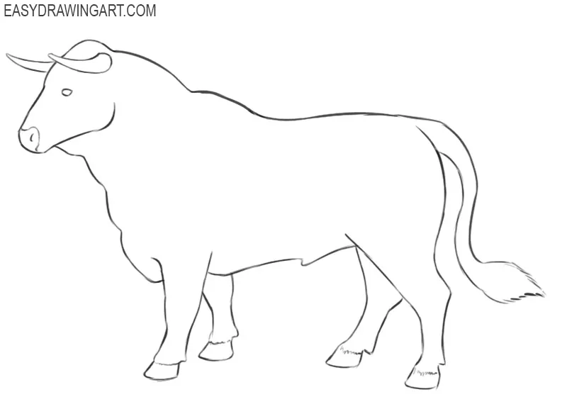 bull drawing cartoon