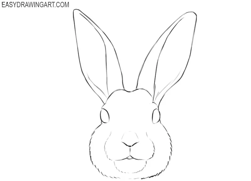 bunny face drawing easy