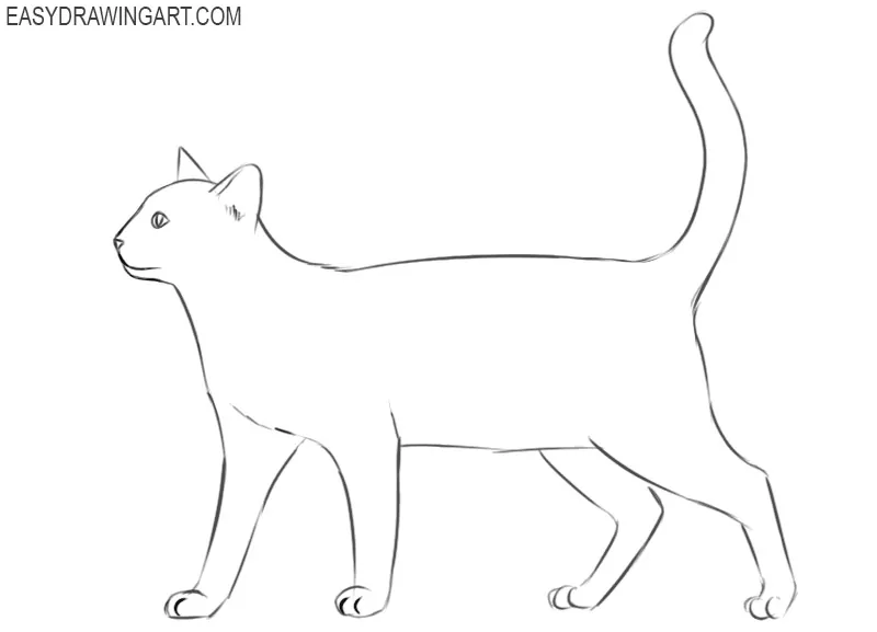 cat drawing easy
