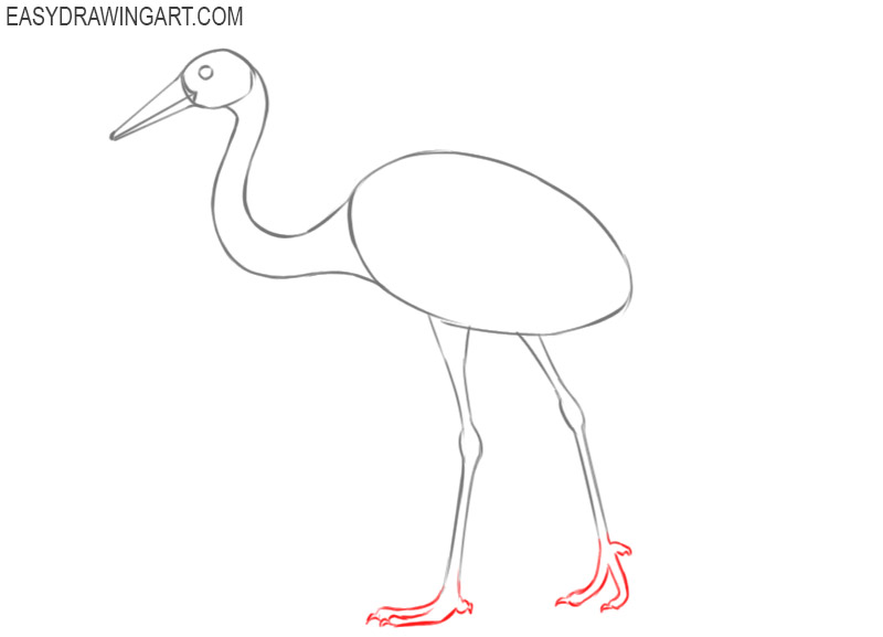 crane bird drawing easy