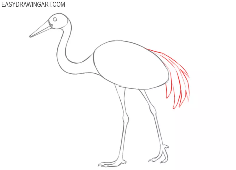crane bird drawing picture