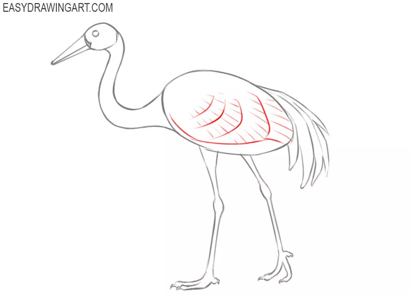 crane bird drawing step by step