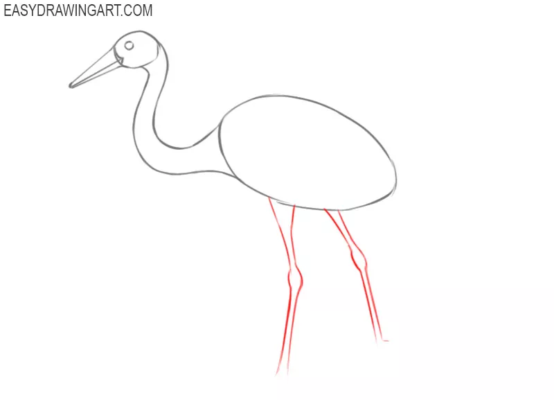 crane bird drawing