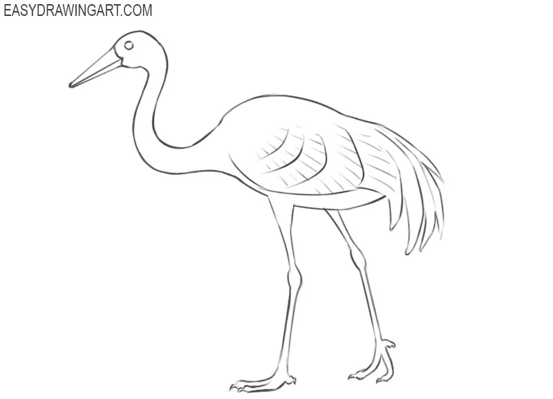 crane bird pencil drawing