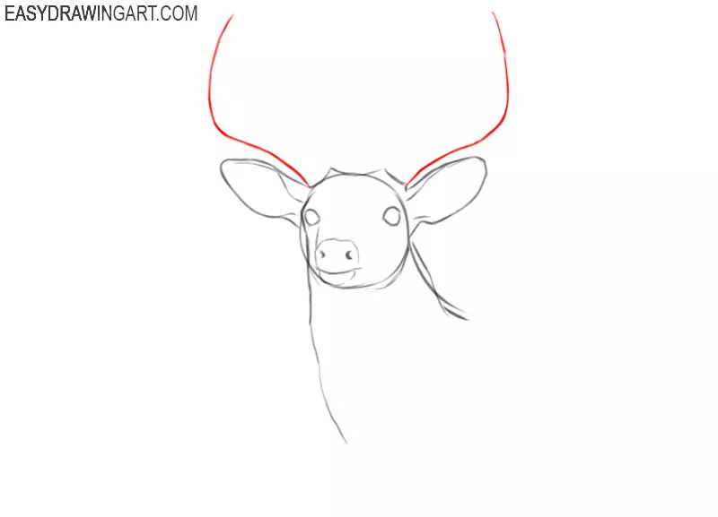 deer head drawing easy