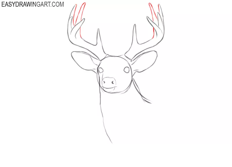 deer head drawing images