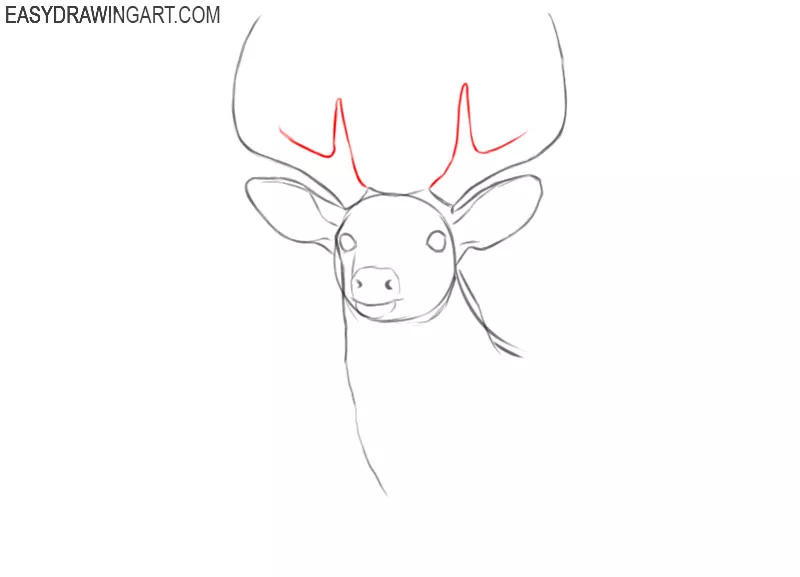 deer head drawing outline