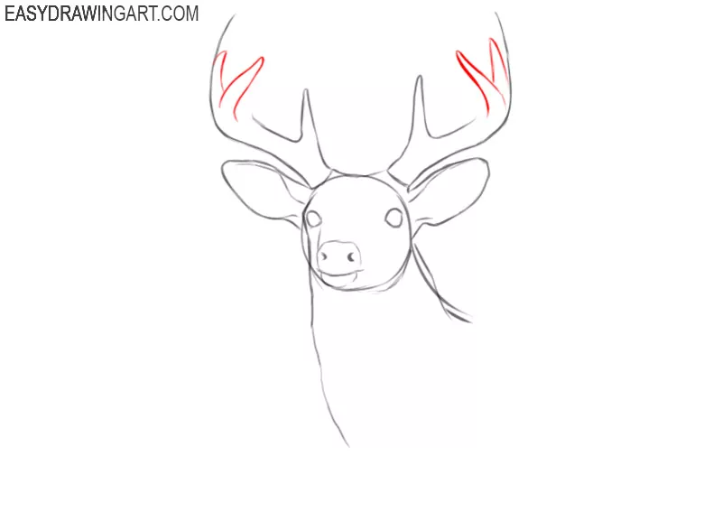 deer head drawing step by step