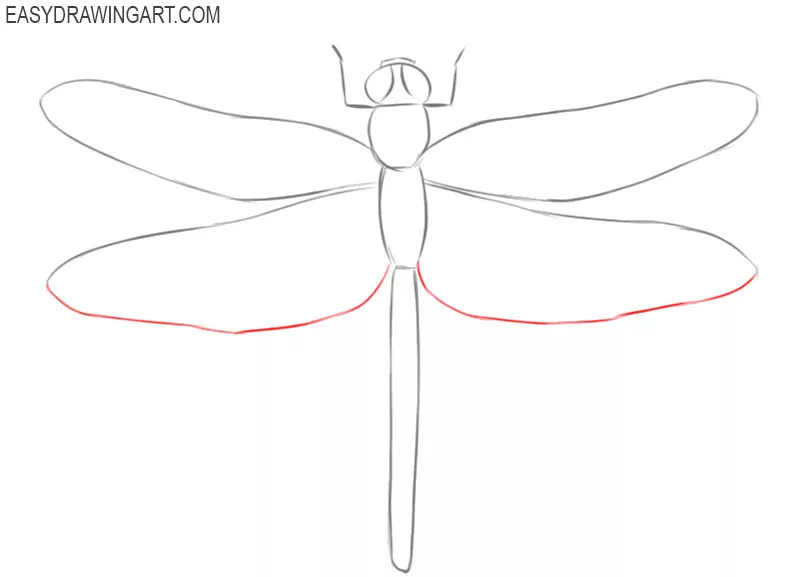 dragonfly drawing easy