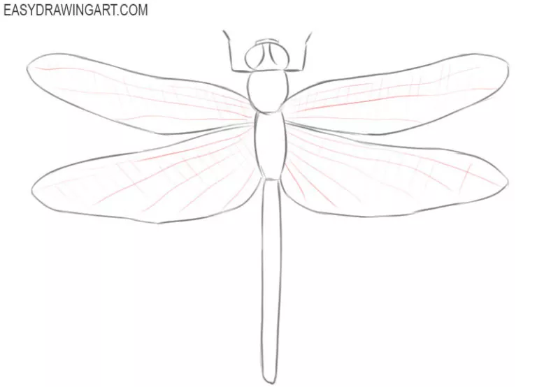 How To Draw A Dragonfly - Easy Drawing Art