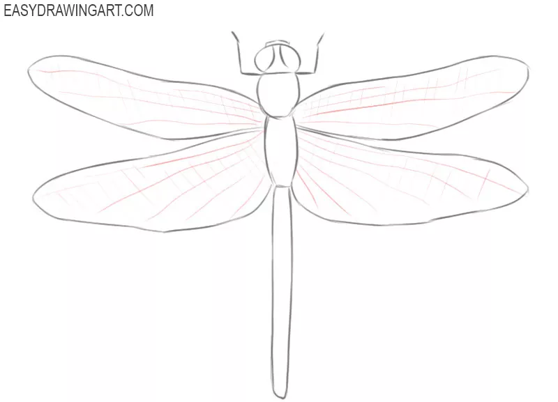 dragonfly drawing simple