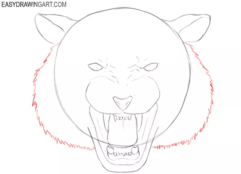 tiger head pencil drawing