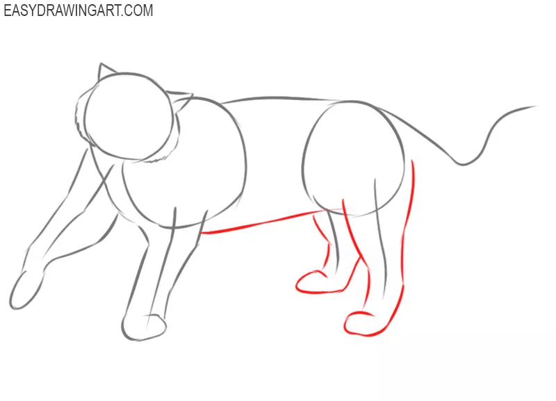 how to draw a tiger roaring