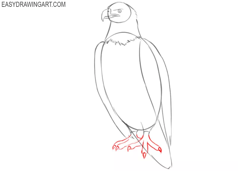 easiest way to draw a bald eagle