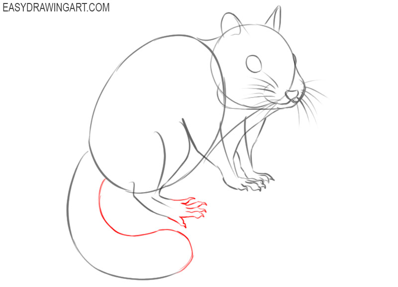 easiest way to draw a chipmunk