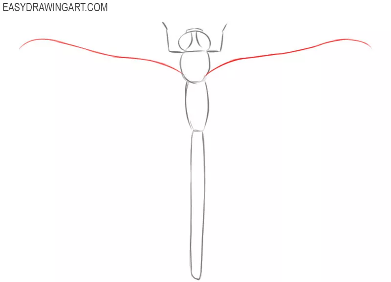 easy way to draw a dragonfly