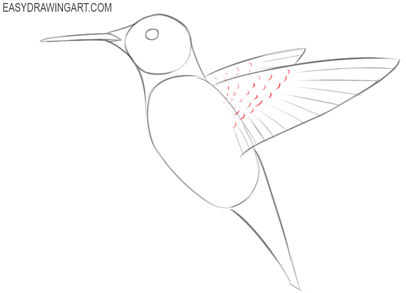 The hummingbird one line drawing Sticker for Sale by ElisArt  Redbubble