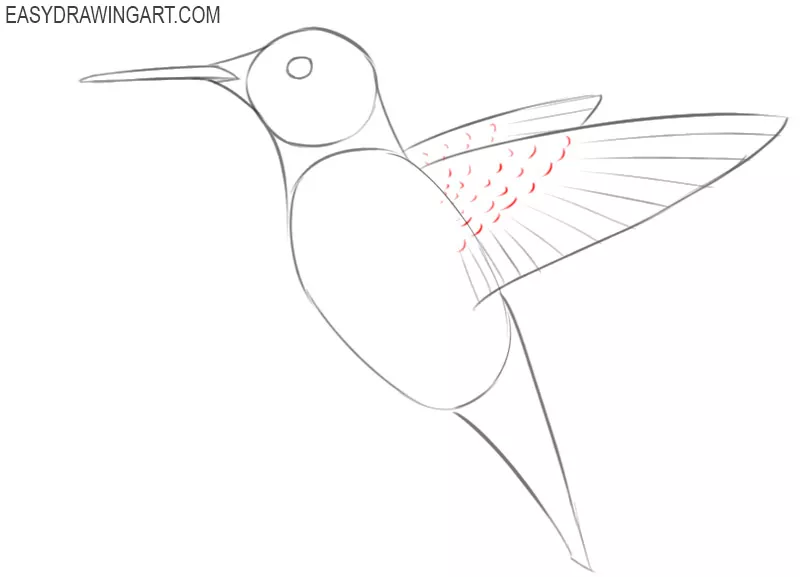 easy way to draw a hummingbird