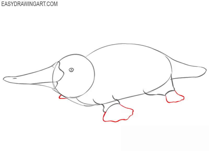 easy way to draw a platypus