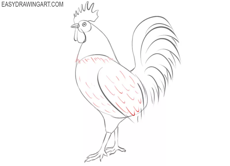 easy way to draw a rooster
