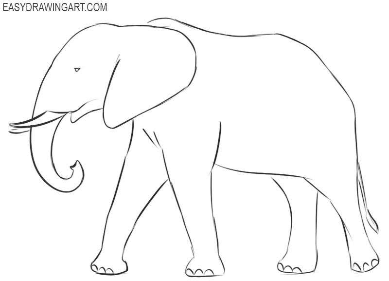 elephant drawing images