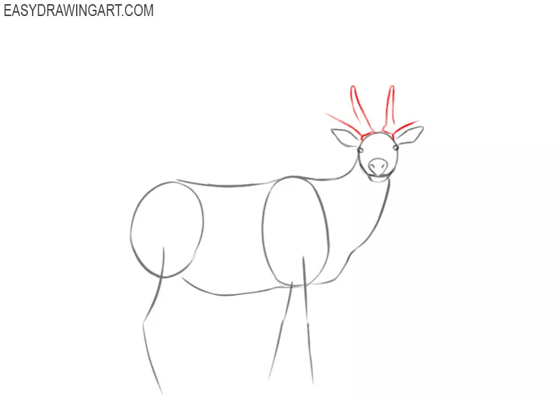 How to Draw an Elk Easy Drawing Art