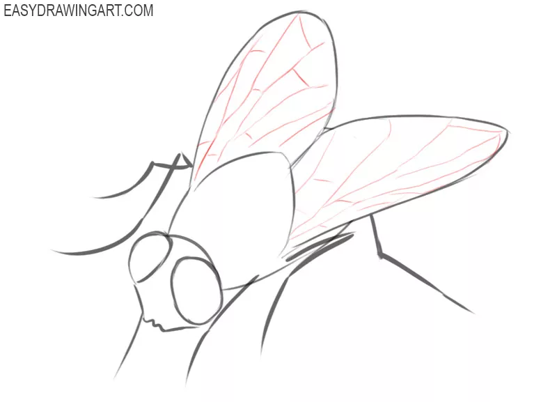 fly drawing simple
