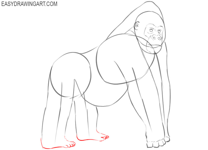 gorilla drawing easy
