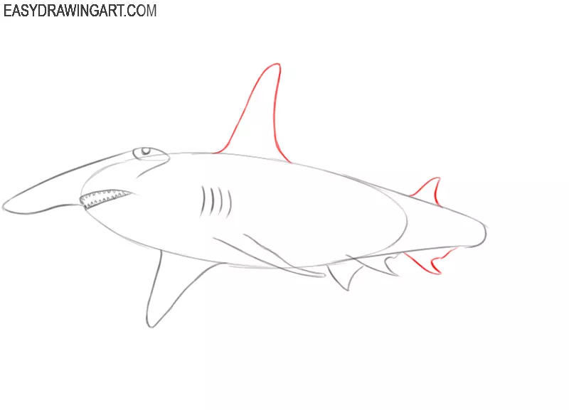 hammerhead shark drawing easy