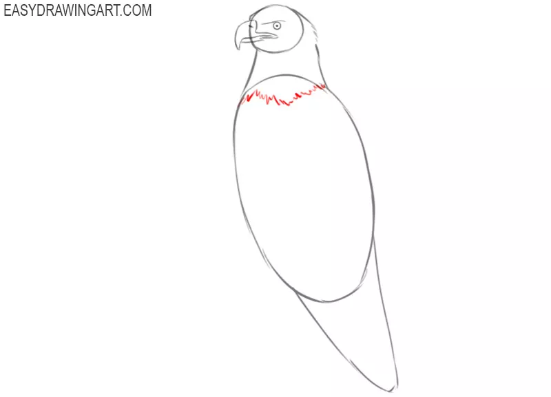 how to draw a bald eagle full body easy