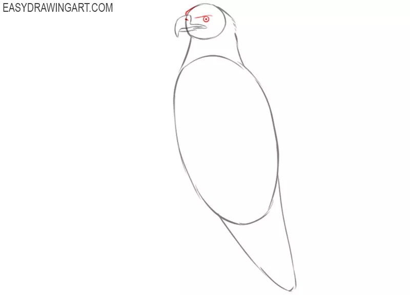 how to draw a bald eagle full body step by step