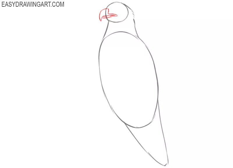 how to draw a bald eagle step by step easy